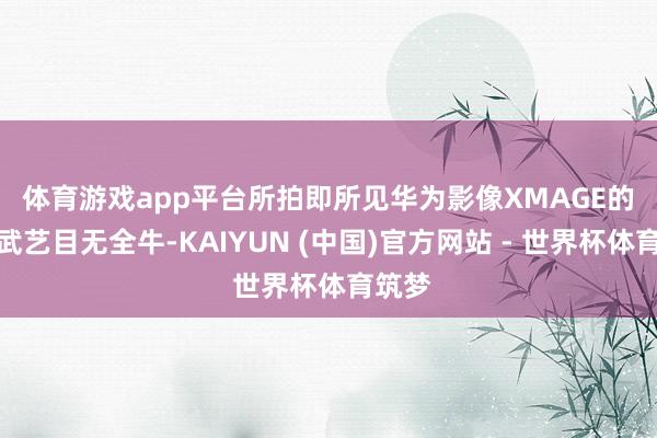 体育游戏app平台所拍即所见　　华为影像XMAGE的苍劲武艺目无全牛-KAIYUN (中国)官方网站 - 世界杯体育筑梦