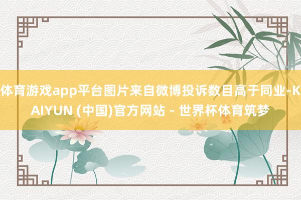体育游戏app平台图片来自微博投诉数目高于同业-KAIYUN (中国)官方网站 - 世界杯体育筑梦