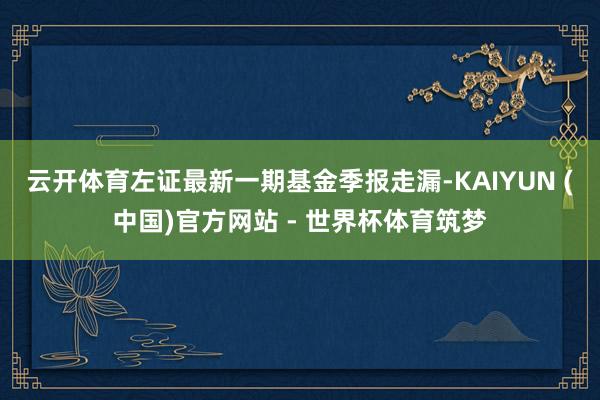 云开体育左证最新一期基金季报走漏-KAIYUN (中国)官方网站 - 世界杯体育筑梦