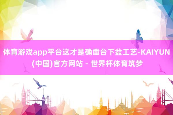 体育游戏app平台这才是确凿台下盆工艺-KAIYUN (中国)官方网站 - 世界杯体育筑梦