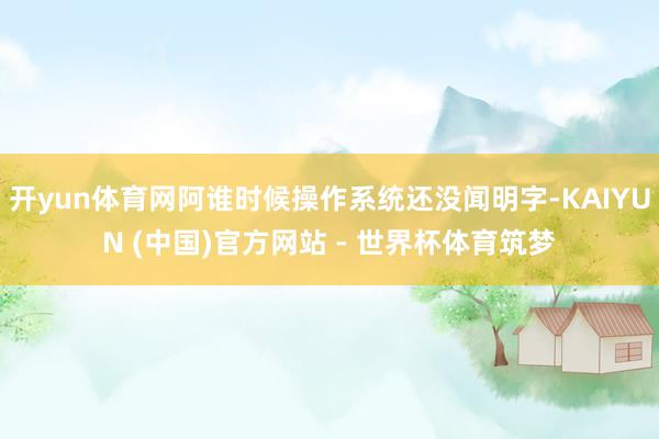 开yun体育网阿谁时候操作系统还没闻明字-KAIYUN (中国)官方网站 - 世界杯体育筑梦