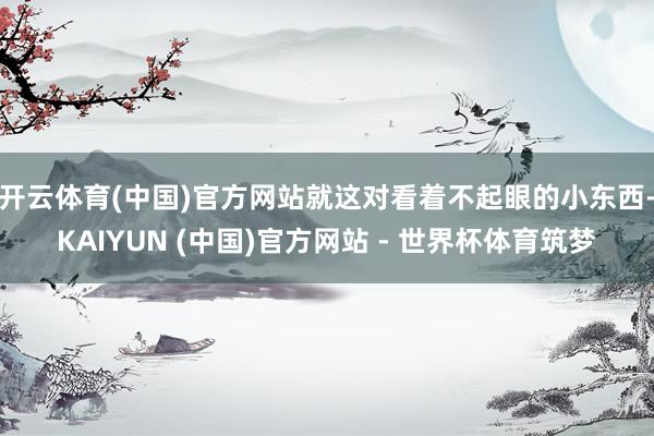 开云体育(中国)官方网站就这对看着不起眼的小东西-KAIYUN (中国)官方网站 - 世界杯体育筑梦