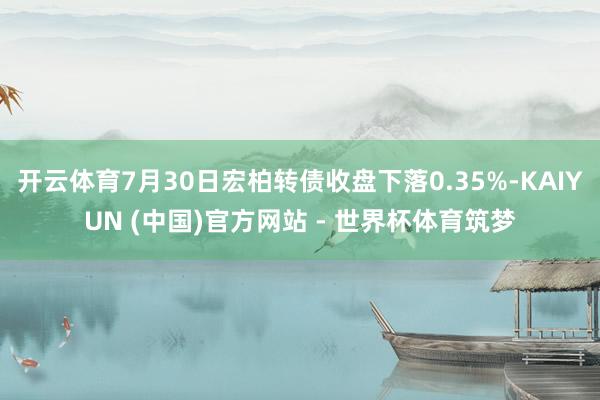 开云体育7月30日宏柏转债收盘下落0.35%-KAIYUN (中国)官方网站 - 世界杯体育筑梦