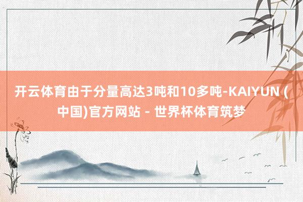 开云体育由于分量高达3吨和10多吨-KAIYUN (中国)官方网站 - 世界杯体育筑梦
