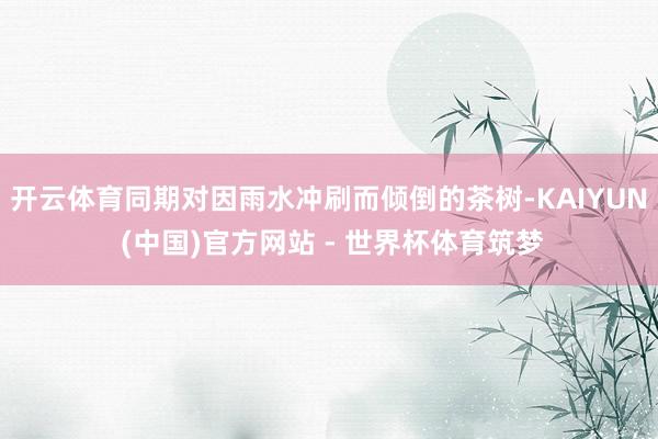 开云体育同期对因雨水冲刷而倾倒的茶树-KAIYUN (中国)官方网站 - 世界杯体育筑梦