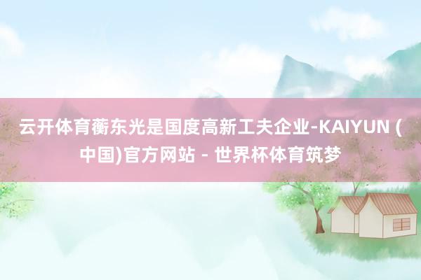 云开体育蘅东光是国度高新工夫企业-KAIYUN (中国)官方网站 - 世界杯体育筑梦